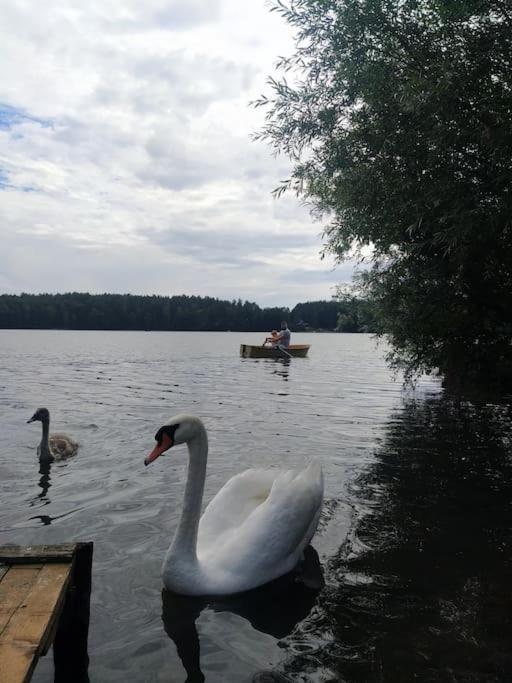 Wrzosowe Wzgorze - Domek Wiejski Klaczno Esterno foto