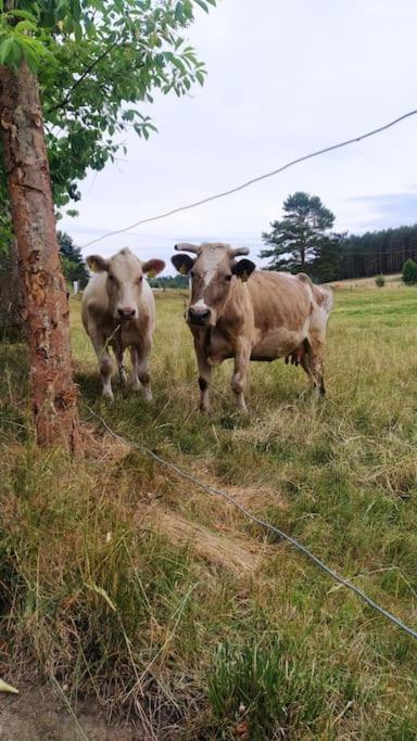 Wrzosowe Wzgorze - Domek Wiejski Klaczno Esterno foto